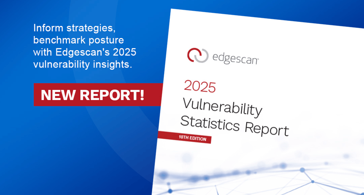 2025 Vulnerability Statistics Report